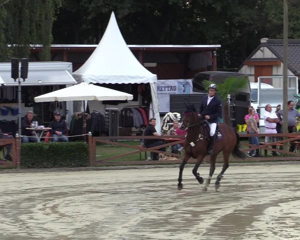 Equus Colonius - Reitanlage Brüse Köln 2021