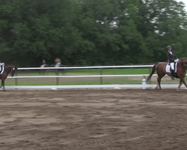 Reitturnier Wulkow 2019