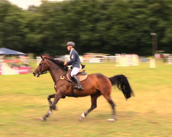 Reitturnier Wulkow 2019