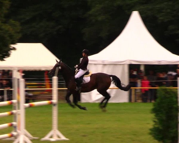Reitturnier Wulkow 2019
