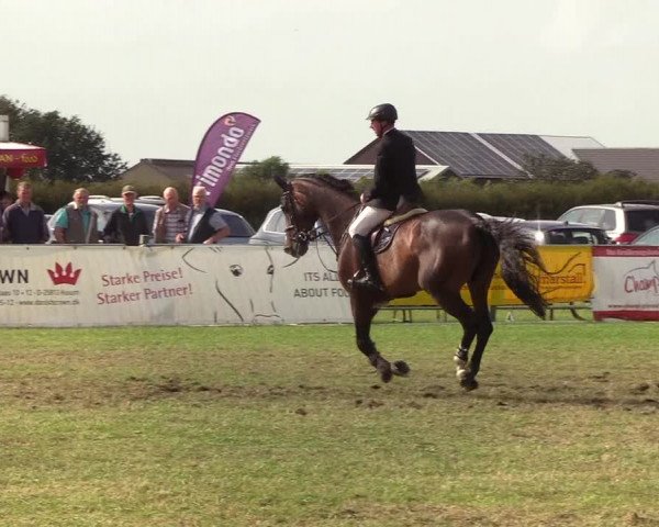 Reitturnier Behrendorf 2019