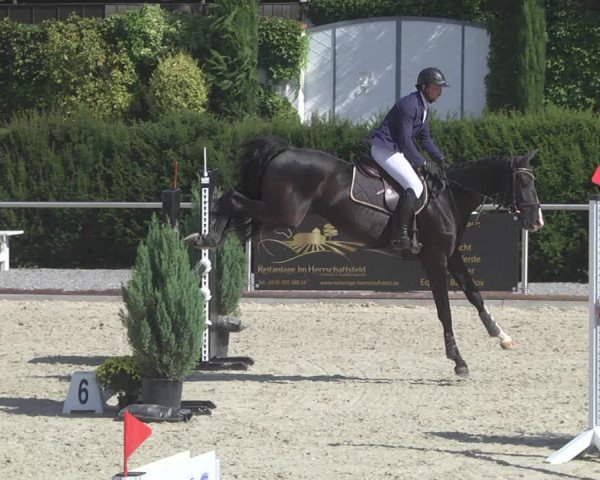 Reitturnier Durmersheim-Hardt 2019