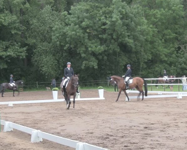 Reitturnier Wulkow 2019