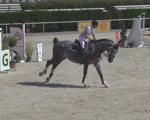 Reitturnier Durmersheim-Hardt 2019
