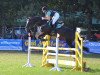 jumper Hot Whisky 2 (Irish Sport Horse, 2006, from Royal Persian xx)