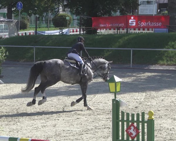 Reitturnier Durmersheim-Hardt 2019