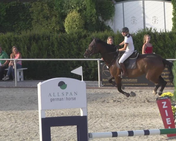 Reitturnier Durmersheim-Hardt 2019