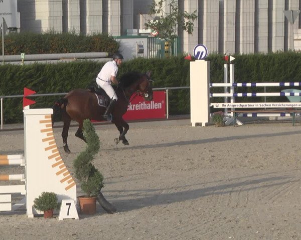 Reitturnier Durmersheim-Hardt 2019