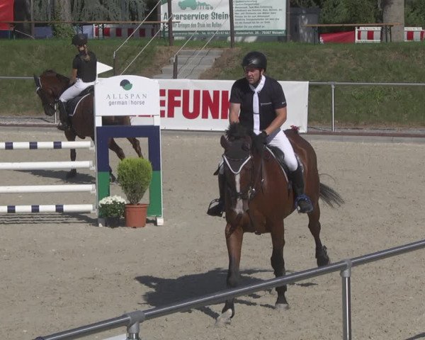 Reitturnier Durmersheim-Hardt 2019