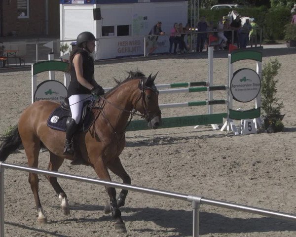 Reitturnier Durmersheim-Hardt 2019