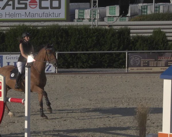 Reitturnier Durmersheim-Hardt 2019