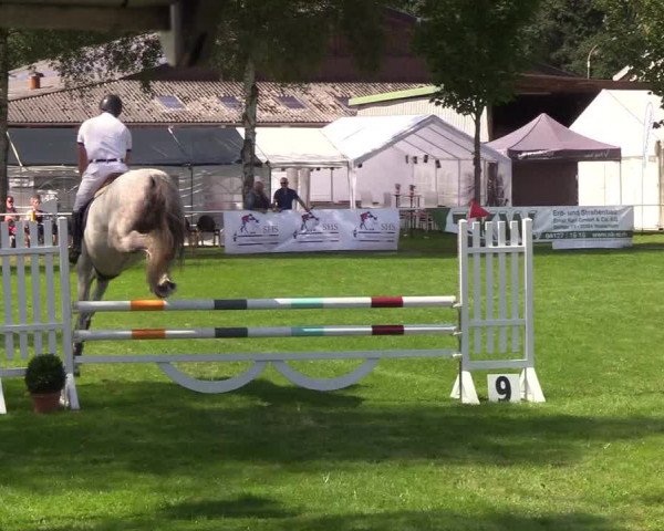 Reitturnier Kellinghusen 2019