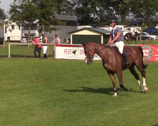 Reitturnier Kellinghusen 2019