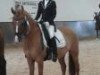 dressage horse Darius 367 (German Riding Pony, 1998, from Ulfenbach Dream Boy)