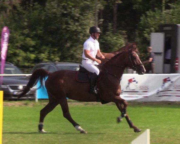 Reitturnier Kellinghusen 2019