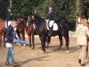 dressage horse Sirius 238 (German Sport Horse, 2010, from Simonetti)