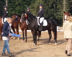 dressage horse Sirius 238 (German Sport Horse, 2010, from Simonetti)