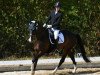 dressage horse Edwin (KWPN (Royal Dutch Sporthorse), 2009, from Sir Oldenburg)