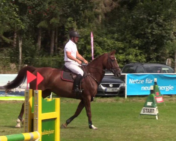 Reitturnier Kellinghusen 2019
