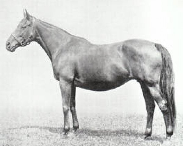 broodmare Gondolette xx (Thoroughbred, 1902, from Loved One xx)