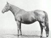 broodmare Gondolette xx (Thoroughbred, 1902, from Loved One xx)