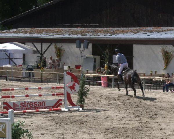 Reitturnier Recklinghausen 2019