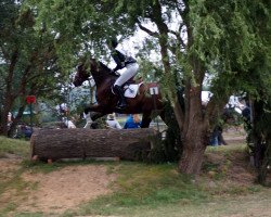 dressage horse Fireproof (Westphalian, 2008, from Florenciano 6)