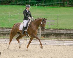 broodmare Fidermädchen (Württemberger, 2006, from Fidertanz)