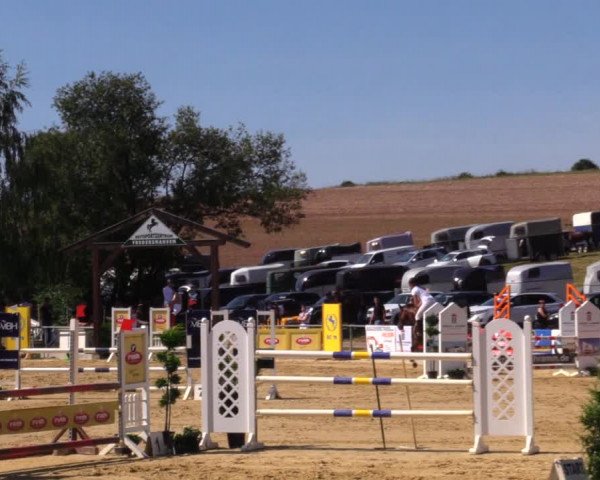 Reitturnier Duderstadt 2019