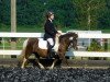 dressage horse Lotti (Shetland Pony, 2009)