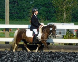 dressage horse Lotti (Shetland Pony, 2009)