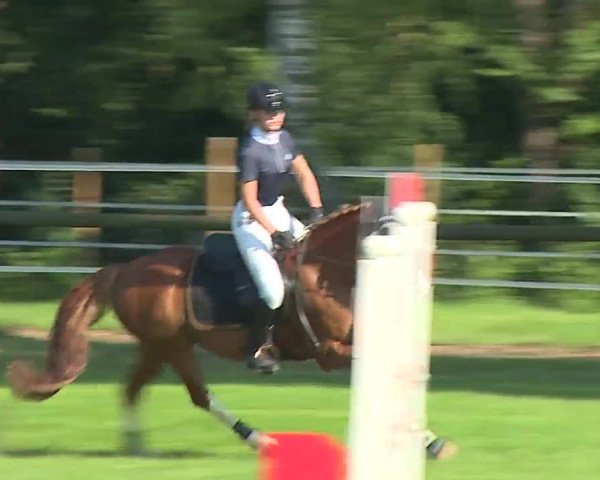 Landesponyturnier Ansbach 2019