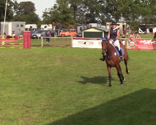 Reitturnier Kellinghusen 2019