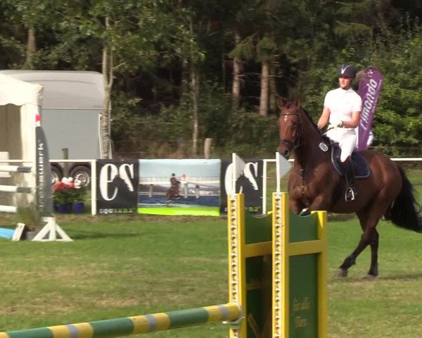 Reitturnier Kellinghusen 2019
