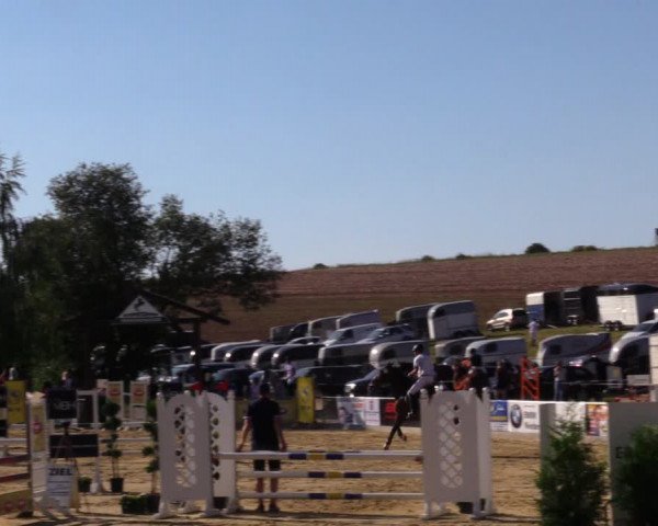 Reitturnier Duderstadt 2019