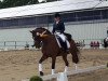 dressage horse Coop Royal (Holsteiner, 2003, from Chello I)