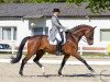 dressage horse Stauffenberger (Hanoverian, 2006, from Stedinger)