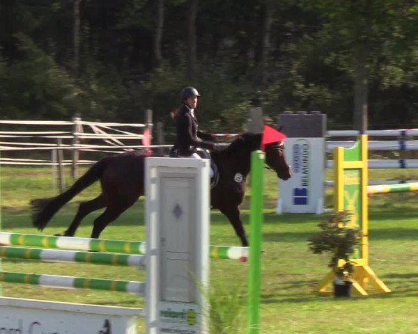 Reitturnier Kellinghusen 2019