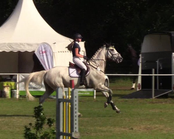Reitturnier Kellinghusen 2019