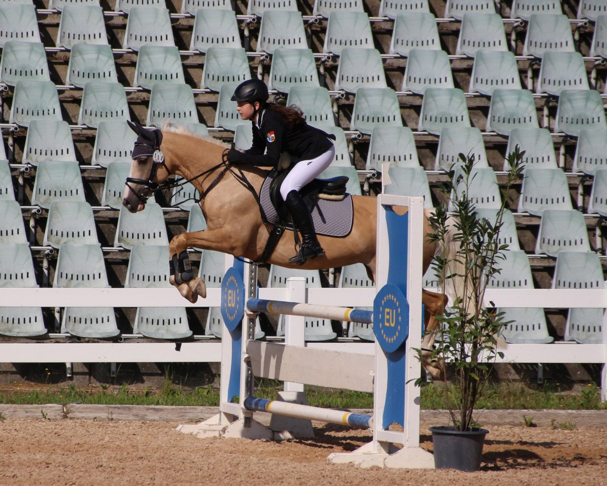 broodmare Elfi (German Riding Pony, 2003, from Sir Charles)