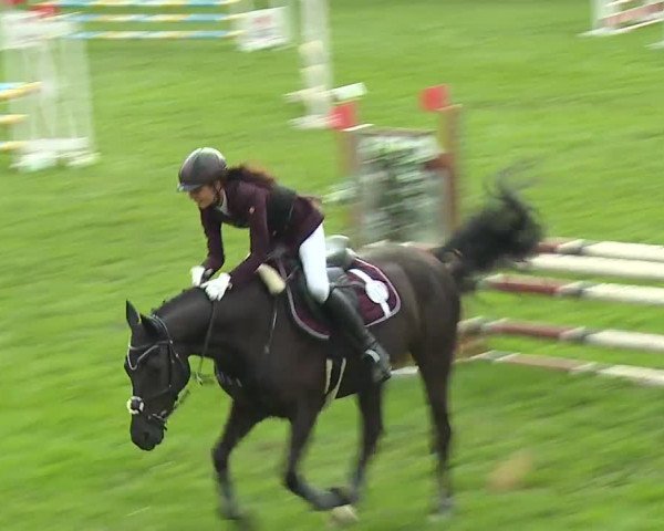 Landesponyturnier Ansbach 2019