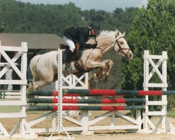 broodmare L'Odyssée du Sud (French Pony, 1999, from Banagher Magee)