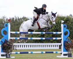 jumper Nlf Billy On Show (anglo european sporthorse, 2002, from Cevin Z)