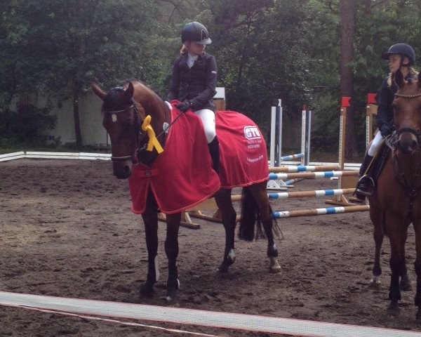 jumper Lanzino (Hanoverian, 2001, from Lanciano)