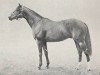 stallion Solonaway xx (Thoroughbred, 1946, from Solferino xx)