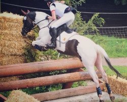 dressage horse Marijuana (Trakehner, 2007, from Grafenstolz)