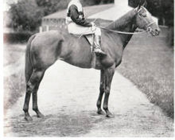 stallion The Boss xx (Thoroughbred, 1910, from Orby xx)