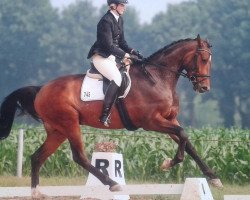 dressage horse Firu Farawior (Hanoverian, 2011, from Fürst Grandios)