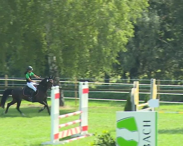 Landesponyturnier Ansbach 2019