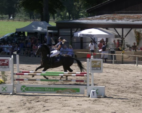 Reitturnier Recklinghausen 2019